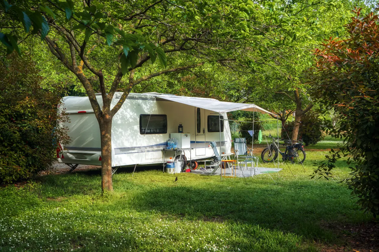 New Project(10) Caravan in a grassy, tree-filled campsite.