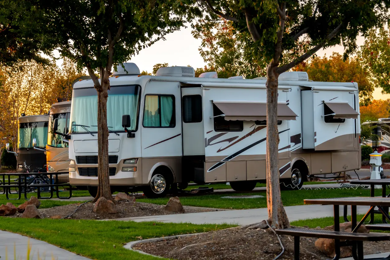 New Project(6) RVs parked at a tree-lined campsite.
