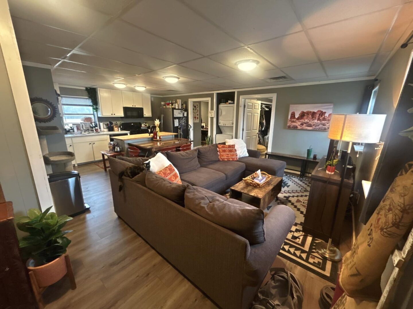 Open-plan kitchen and living space.